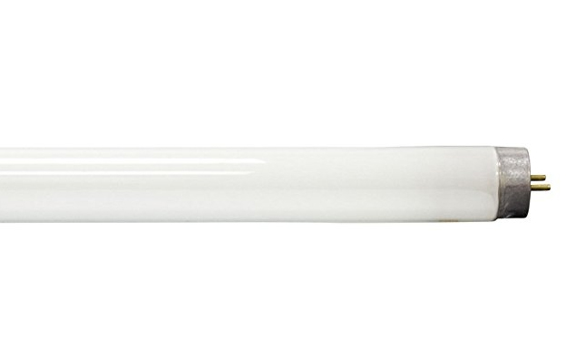 Shatter Shield Bulb 48" Unfiltered 40W