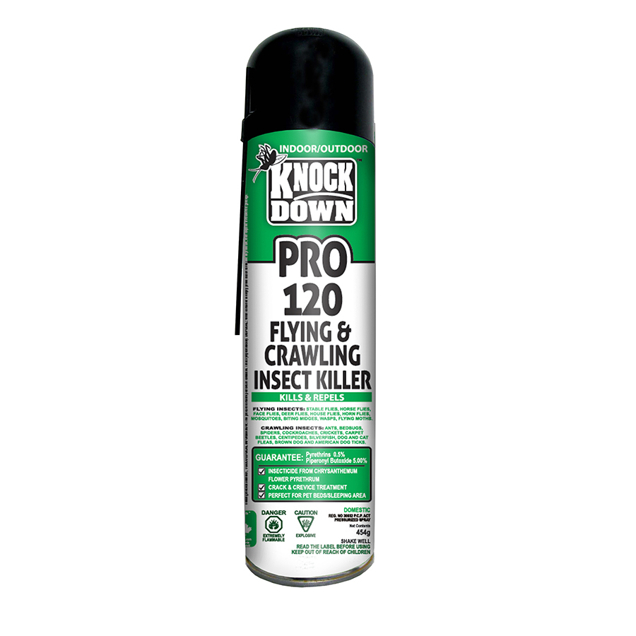 KD120P Pro Flying & Crawling Insect Spray 454G